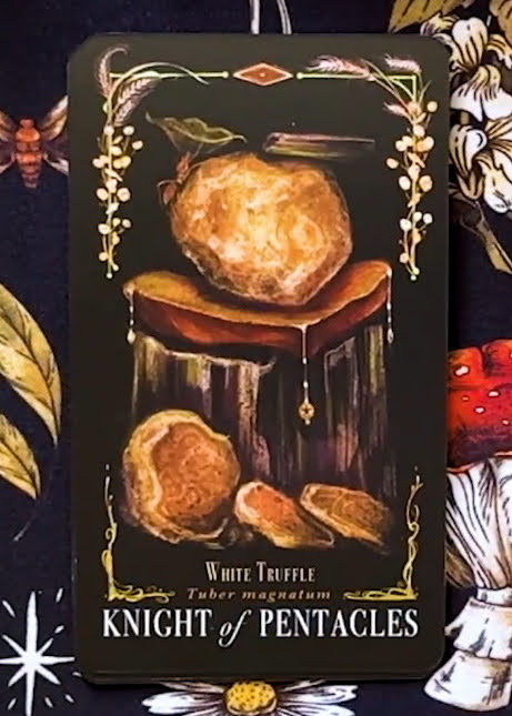 Midnight Magic: A Tarot Deck of Mushrooms